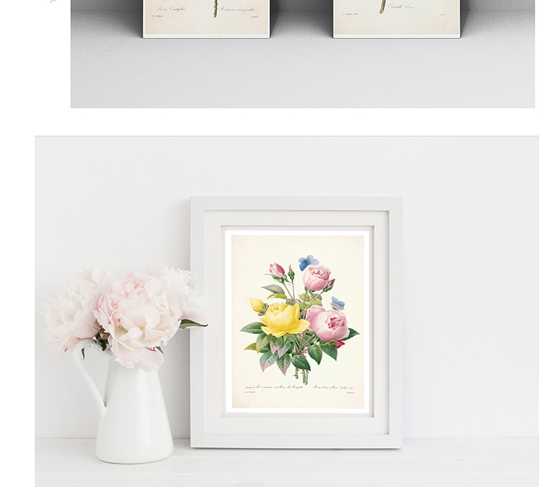 雷杜德花卉画集 艺术与生活的唯美交织