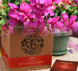 金鱼草花种新年开业乔迁花卉礼品家庭盆载鲜花礼盒全解析
